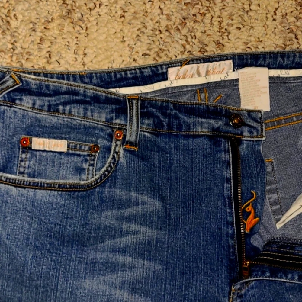 Baby Phat Jeans Vintage - Picture 4 of 13